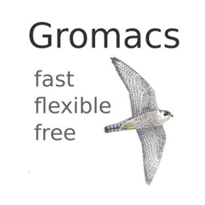 gromacs-logo-square-gromacs-on-top-300x300
