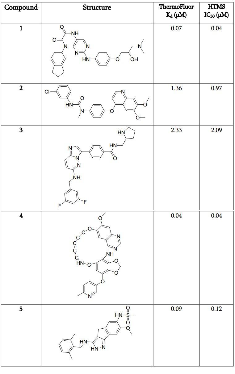 应用高通量虚拟筛选加速先导化合物开发（一）：BTK研究案例