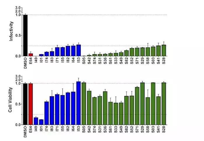 靶向GP2蛋白的埃博拉病毒抑制剂虚拟筛选策略 靶向GP2蛋白的埃博拉病毒抑制剂虚拟筛选策略