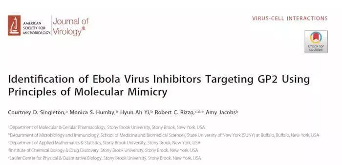 靶向GP2蛋白的埃博拉病毒抑制剂虚拟筛选策略