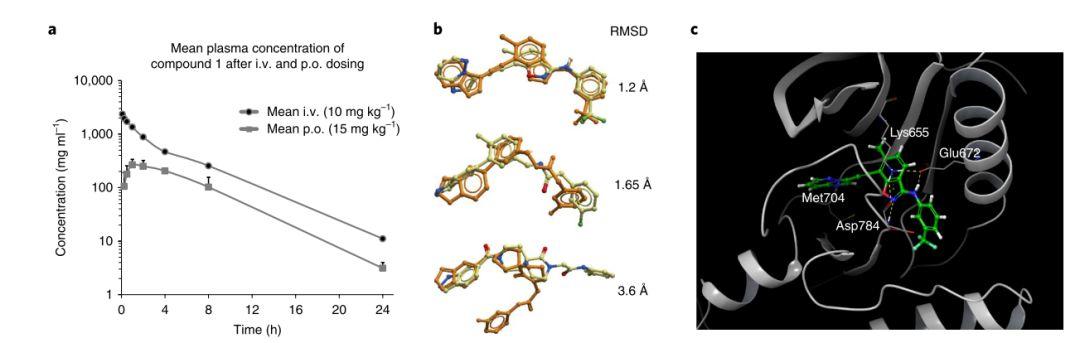 Nature Biotechnology | 46天!深度学习加速DDR1激酶抑制剂研发