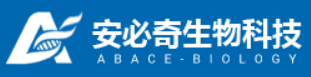 安必奇