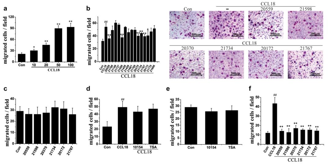 虚拟筛选研究案例-CCL18拮抗剂阻断乳腺癌转移