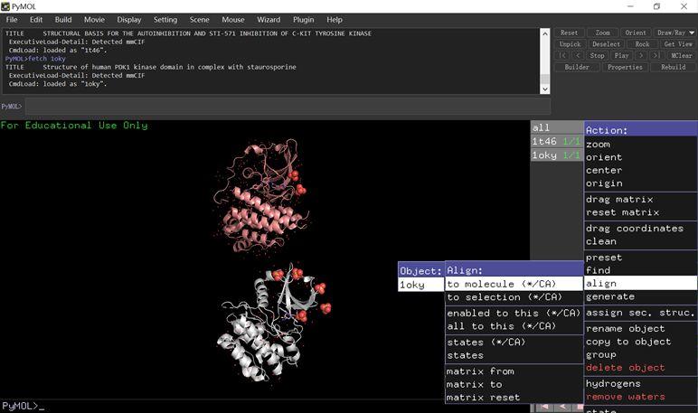 【实用教程】- 使用PyMOL的Align进行蛋白结构叠合比对 【实用教程】- 使用PyMOL的Align进行蛋白结构叠合比对