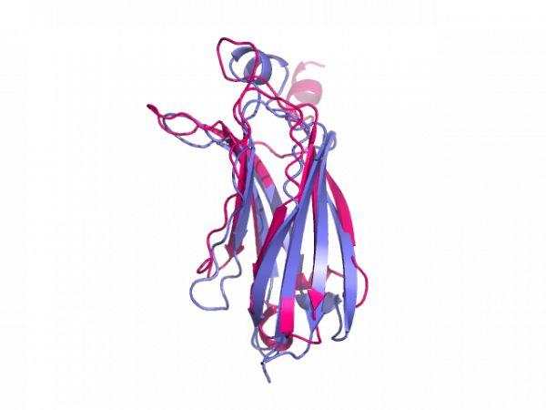 【实用教程】- 使用PyMOL的Align进行蛋白结构叠合比对