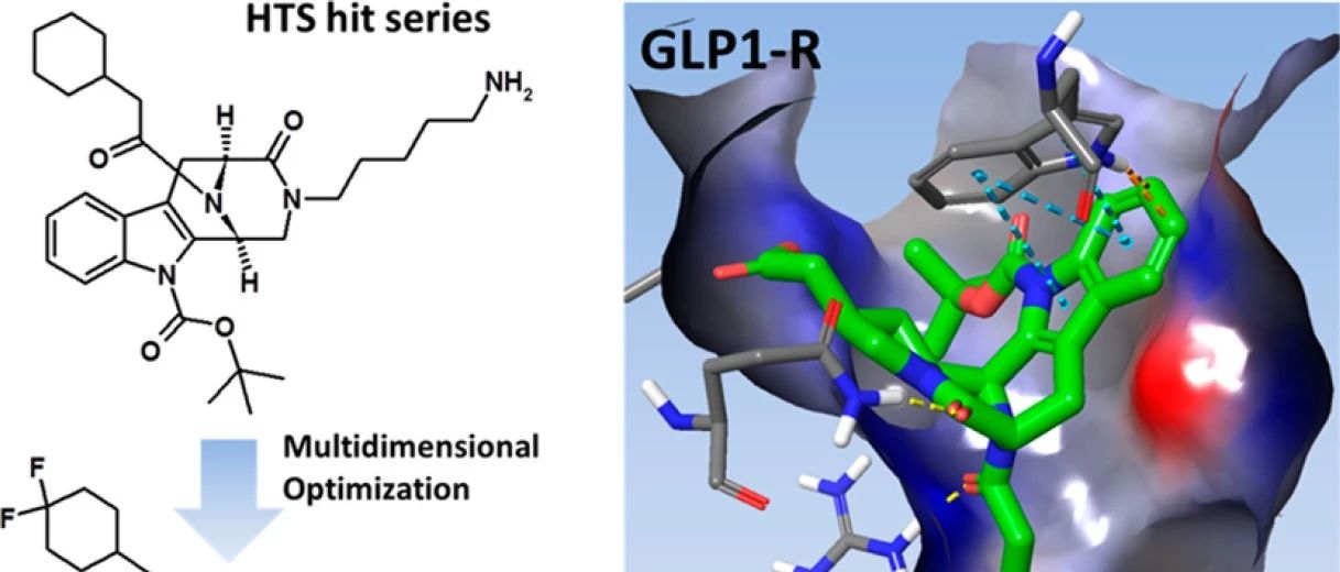 JMC | 赛诺菲利用分子模拟设计优化GLP-1R正向别构调节剂
