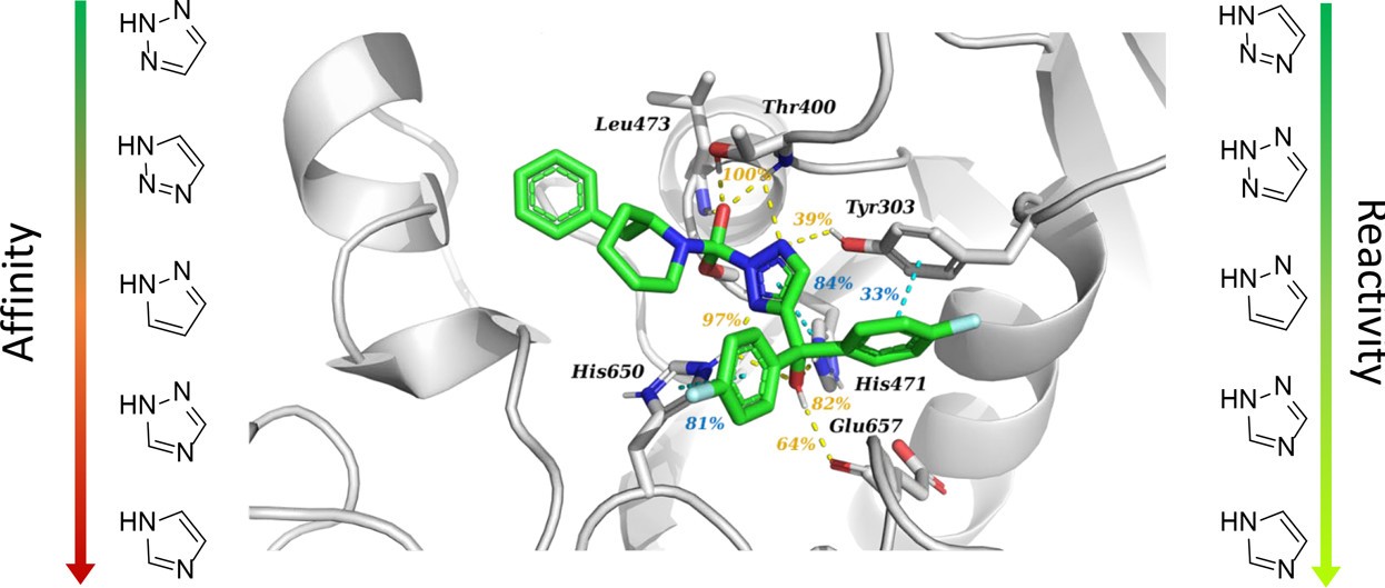 JMC | 反应动力学结合分子动力学研究共价抑制剂与DAGL的结合机制
