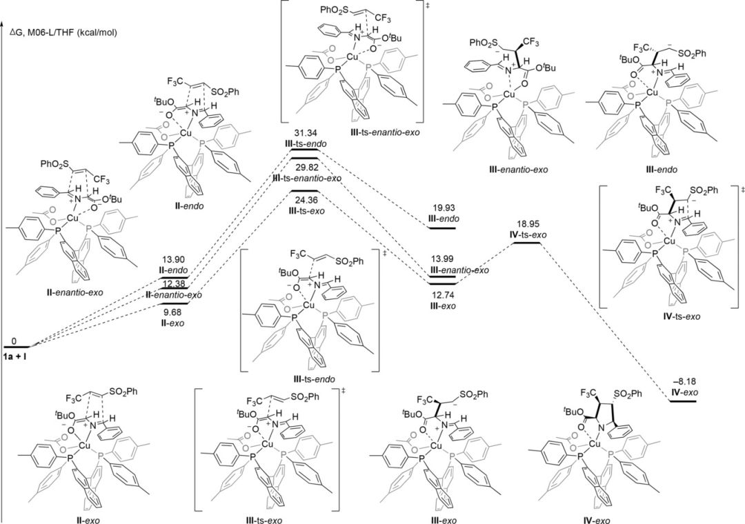 Angew. Chem | 量子化学计算解析不对称1,3-环加成反应机理