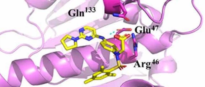 Science Advances | 经典！从分子动力学到虚拟筛选发现PPI小分子抑制剂