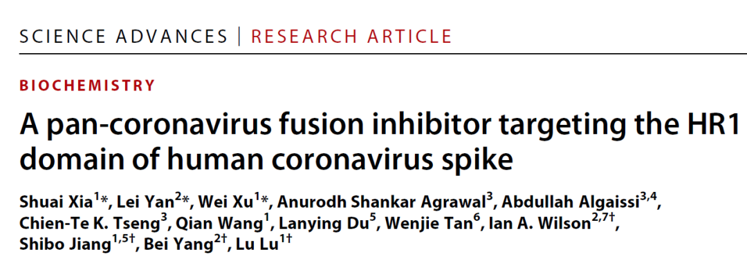 Science Advances | 广谱抗冠状病毒融合多肽抑制剂的发现