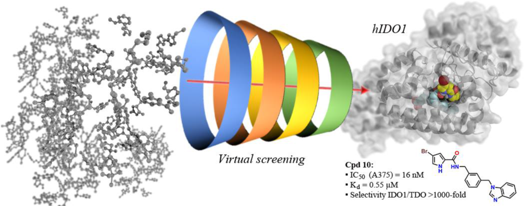 JMC | 820万化合物库中虚拟筛选发现高效肿瘤免疫靶点IDO1抑制剂