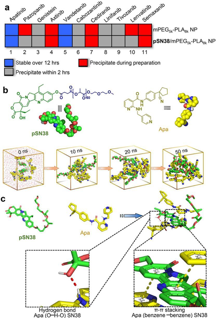 案例 | 纳米药物自组装的分子动力学模拟研究