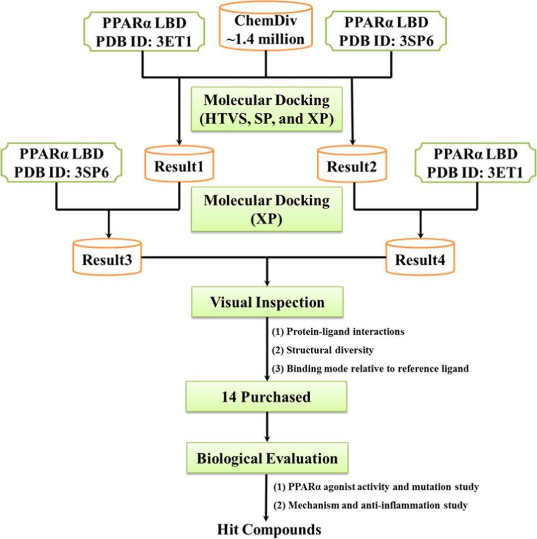 JCIM | 从百万化合物库中虚拟筛选发现新型PPARα激动剂