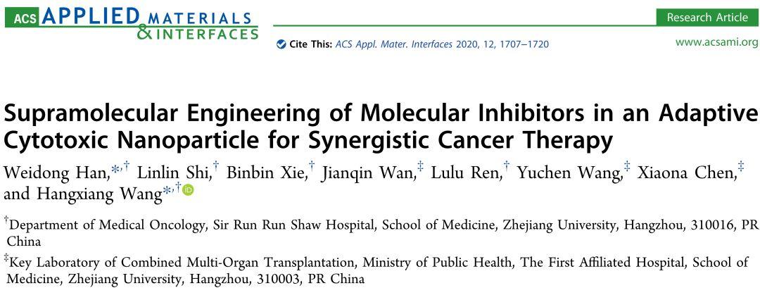 案例 | 纳米药物自组装的分子动力学模拟研究