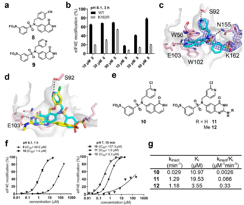 JACS | 共价对接发现难成药靶点eIF4E共价抑制剂