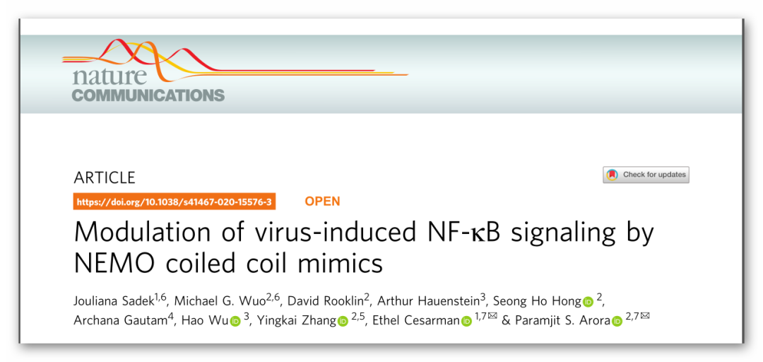 Nature Communications丨理性设计抗卡波氏肉瘤vFLIP-NEMO蛋白-蛋白相互作用抑制剂
