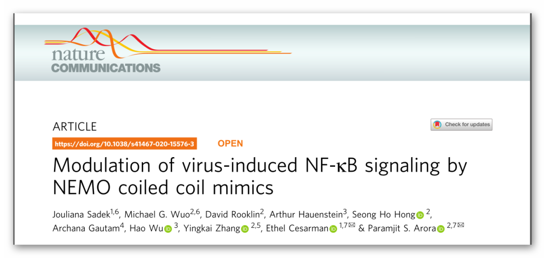 Nature Communications丨理性设计抗卡波氏肉瘤vFLIP-NEMO蛋白-蛋白相互作用抑制剂 Nature Communications丨理性设计抗卡波氏肉瘤vFLIP-NEMO蛋白-蛋白相互作用抑制剂
