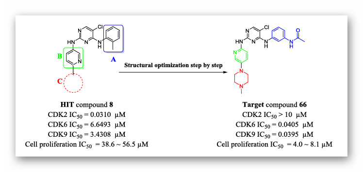 JMC | 分子对接指导发现高活性CDK6/9双靶点抗肿瘤抑制剂
