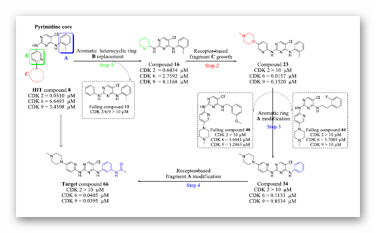 JMC | 分子对接指导发现高活性CDK6/9双靶点抗肿瘤抑制剂 JMC | 分子对接指导发现高活性CDK6/9双靶点抗肿瘤抑制剂