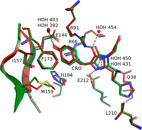 JACS | 分子动力学揭示绿色荧光蛋白mEos4b的发光机制