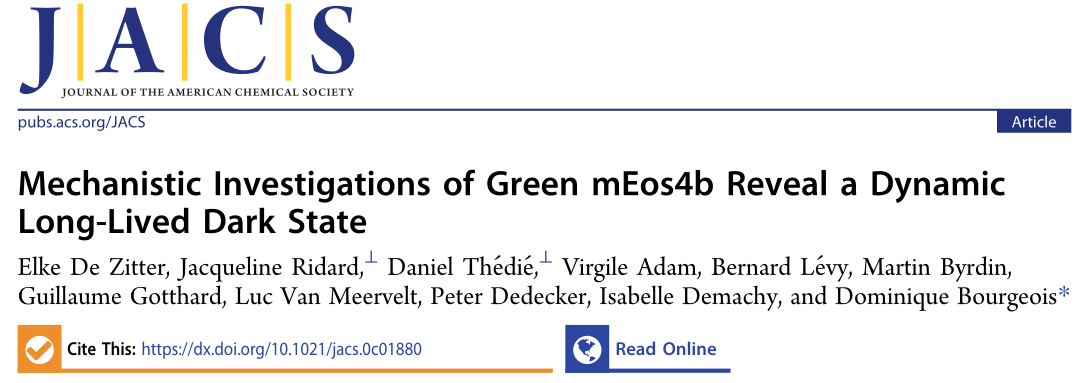 JACS | 分子动力学揭示绿色荧光蛋白mEos4b的发光机制