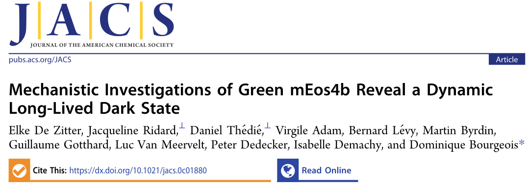 JACS | 分子动力学揭示绿色荧光蛋白mEos4b的发光机制 JACS | 分子动力学揭示绿色荧光蛋白mEos4b的发光机制
