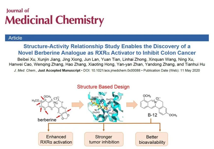 JMC | 基于结构的天然产物黄连素的结构改造