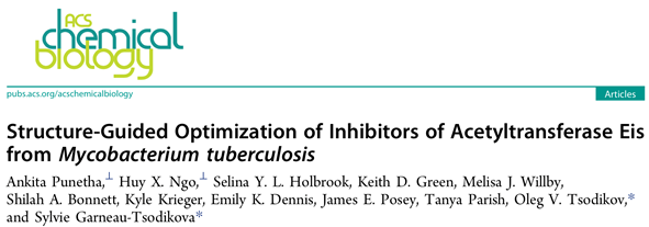 ACS Chem. Biol. | 结核分枝杆菌乙酰转移酶Eis抑制剂的结构导向优化