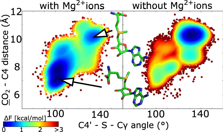 ACS Catalysis | 分子模拟结合量化计算研究Mg离子介导的TrmD酶甲基转移过程