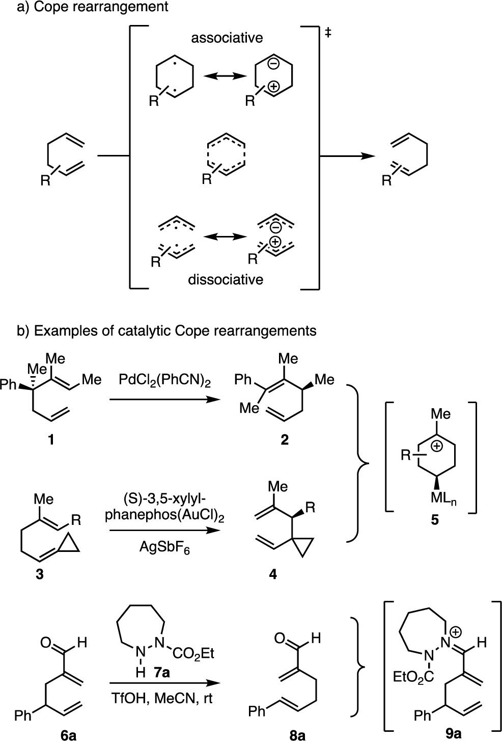 JACS | 环越大催化效率越高？计算加实验研究Cope重排反应机制