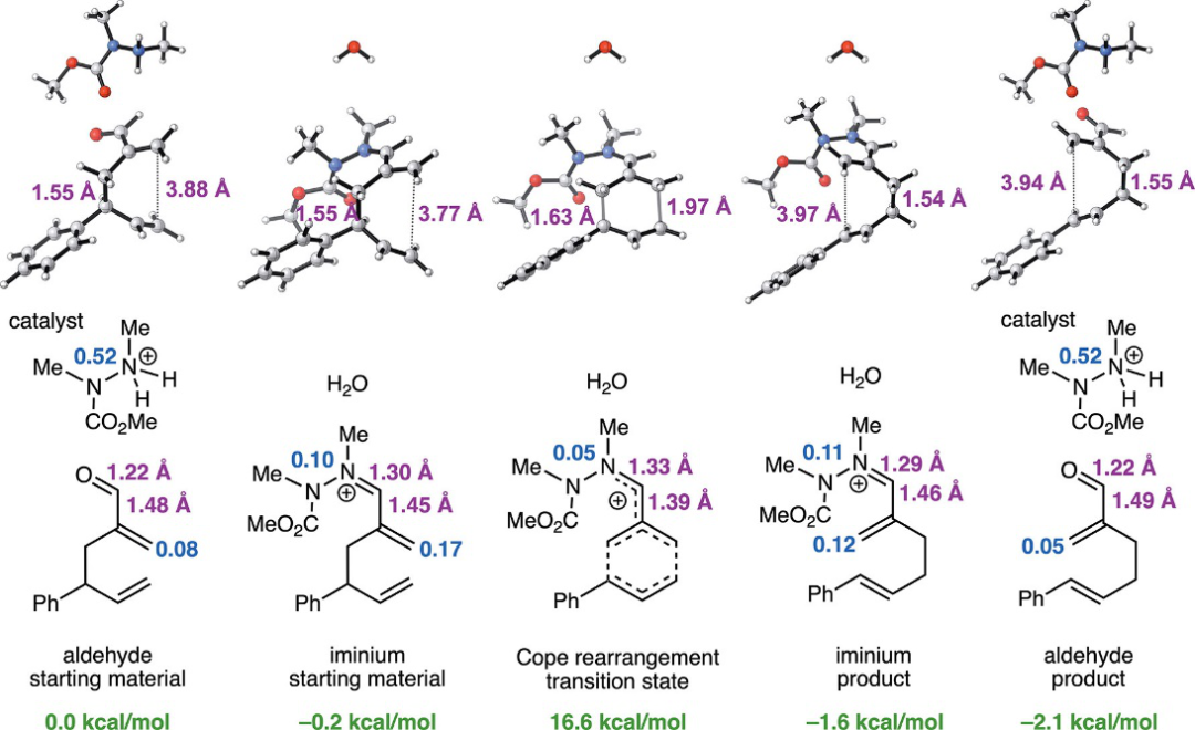 JACS | 环越大催化效率越高？计算加实验研究Cope重排反应机制