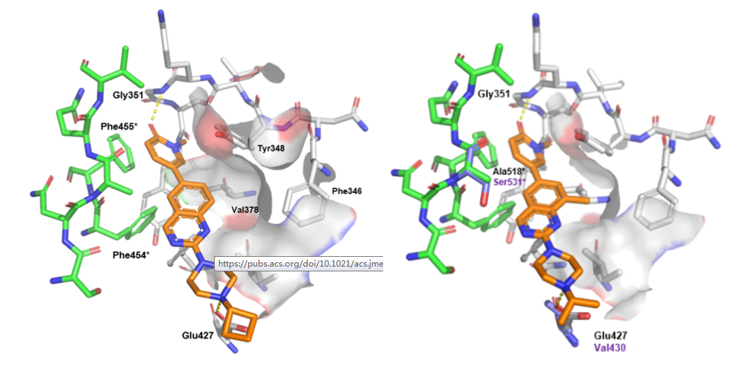 JMC | 诺华基于结构的药物设计开发TLR7/8双重抑制剂