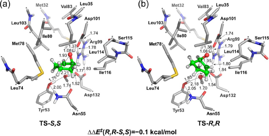 ACS Catalysis | 量子化学方法研究酶催化的立体选择性