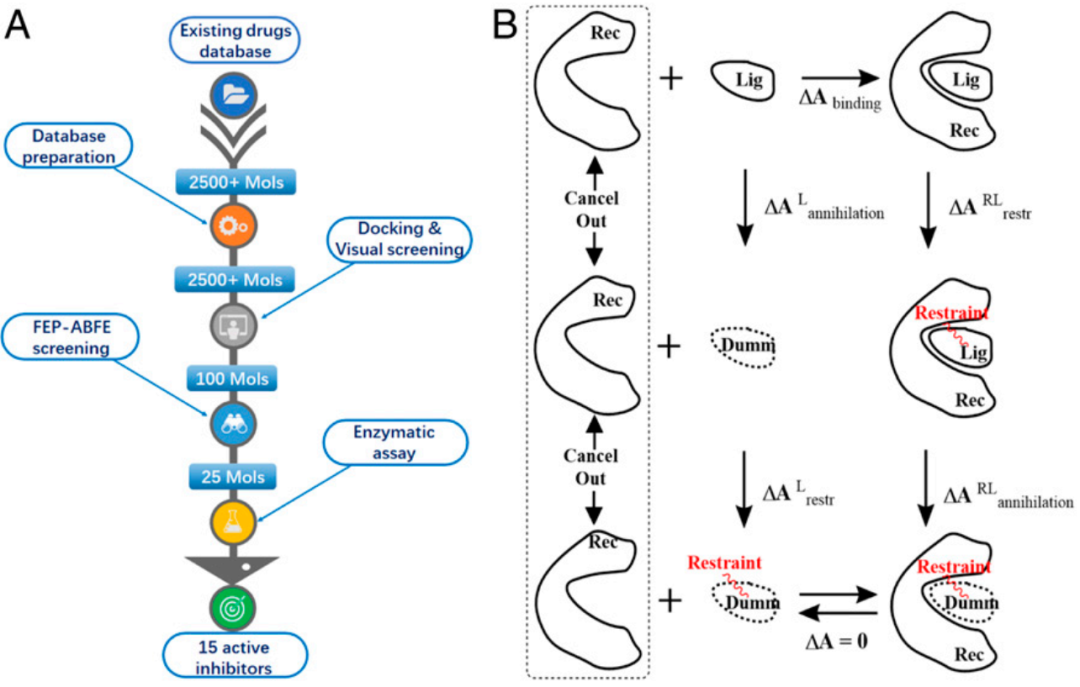 PNAS | 基于加速自由能微扰的虚拟筛选方法从药物库中发现SARS-CoV-2抑制剂