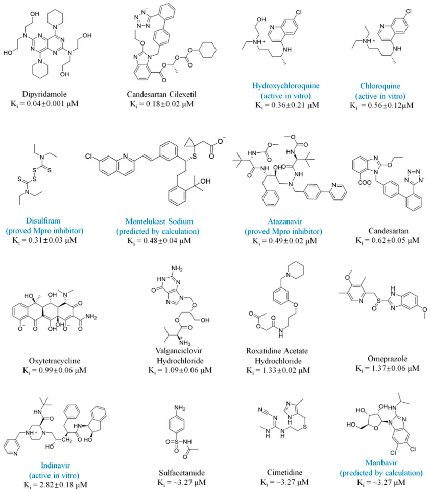 PNAS | 基于加速自由能微扰的虚拟筛选方法从药物库中发现SARS-CoV-2抑制剂