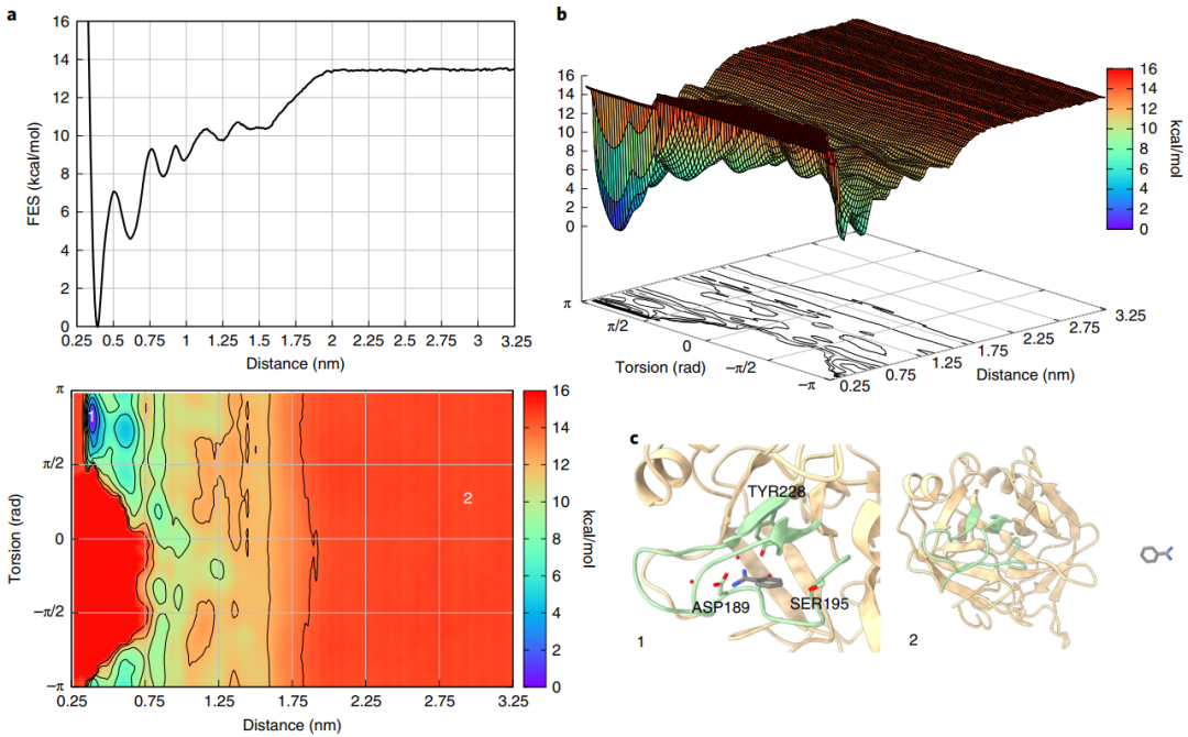 Nature Protocols | 计算配体结合自由能的新工具FMAP