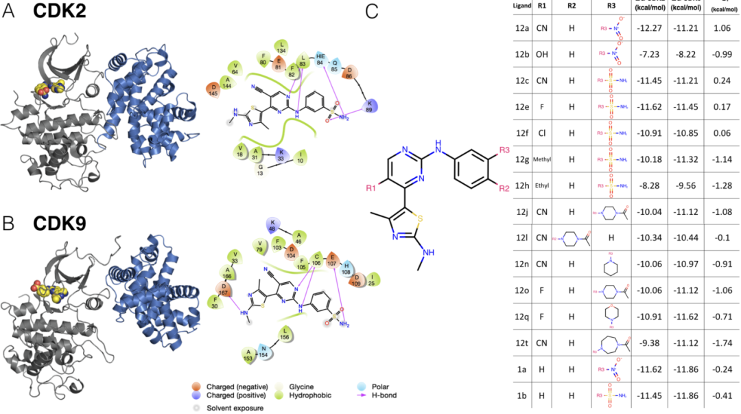 JCIM | 结合自由能计算能否预测药物选择性？