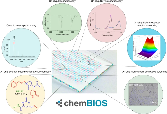 Nat Commun | 德国开发药物发现系统在一个薄片上实现化合物的高通量合成、鉴定、活性筛选
