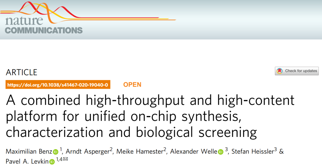 Nat Commun | 德国开发药物发现系统在一个薄片上实现化合物的高通量合成、鉴定、活性筛选
