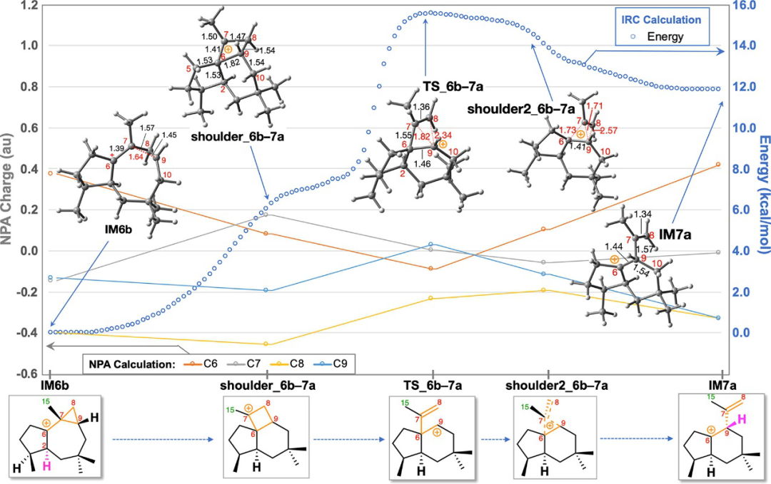 JACS | 量子化学计算揭示巴西烷型倍半萜生物合成新机制