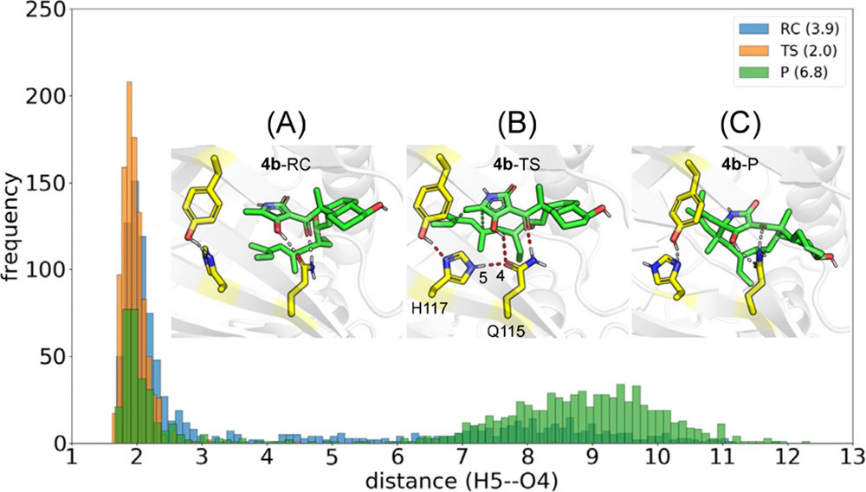 JACS | 量子化学计算揭示D-A环加成酶PyrI4的催化机制