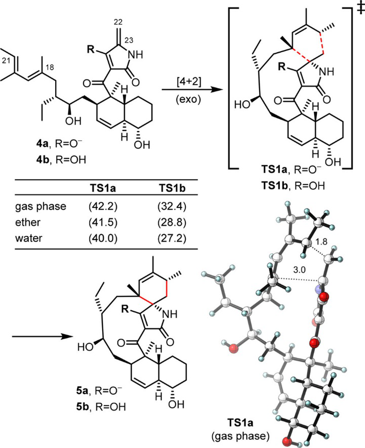 JACS | 量子化学计算揭示D-A环加成酶PyrI4的催化机制