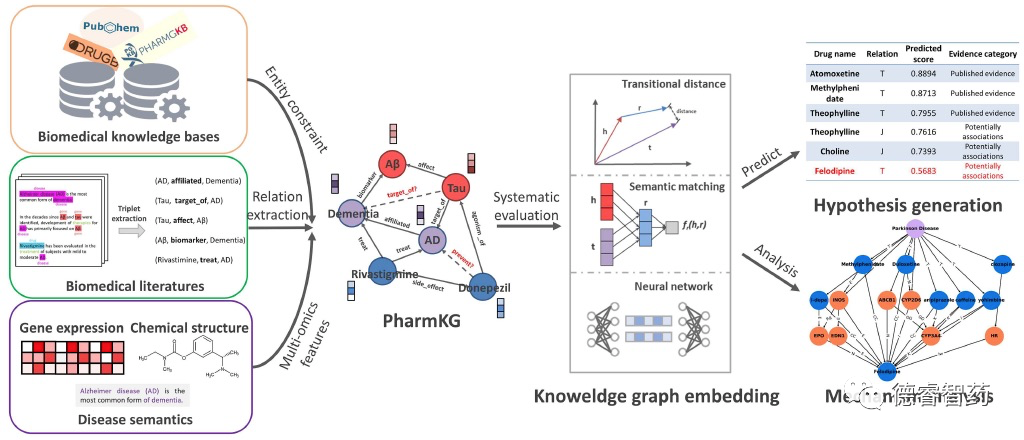 PharmKG：专用于生物医药数据挖掘的知识图谱