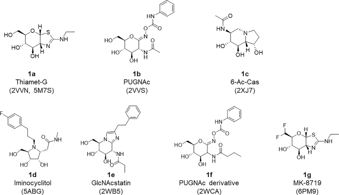 JMC | 基于理性药物设计策略获得新型的O‑GlcNAcase抑制剂