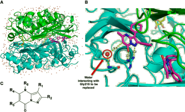 JMC | AG-270: First-in-Class MAT2A小分子抑制剂用于治疗MTAP缺失引起的肿瘤