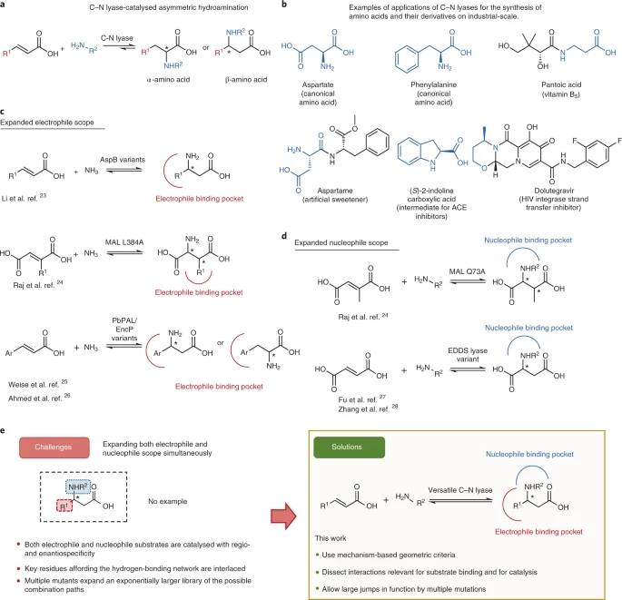 Nature Catalysis | 基于机制计算的重设计策略重建酶的活性位点