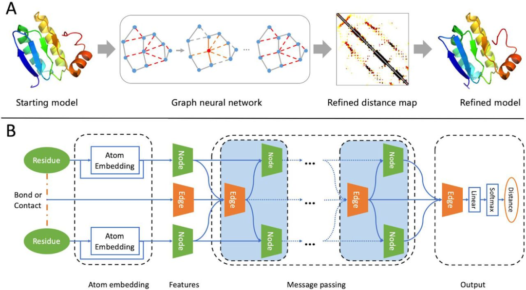 Nat. Comput. Sci. | 打通蛋白结构预测最后一公里：深度图神经网络有效加速蛋白模型优化