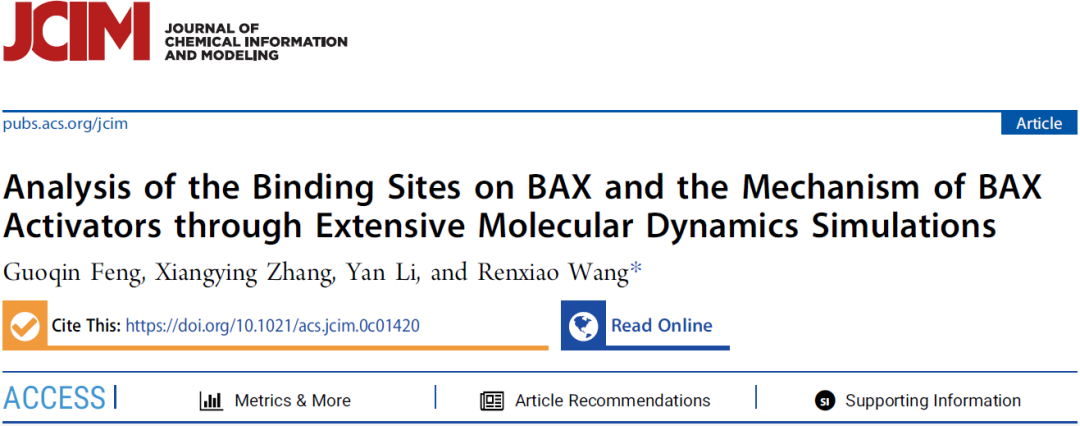 前沿(第八期)：JCIM | 分子动力学模拟揭示BAX蛋白的激活机制