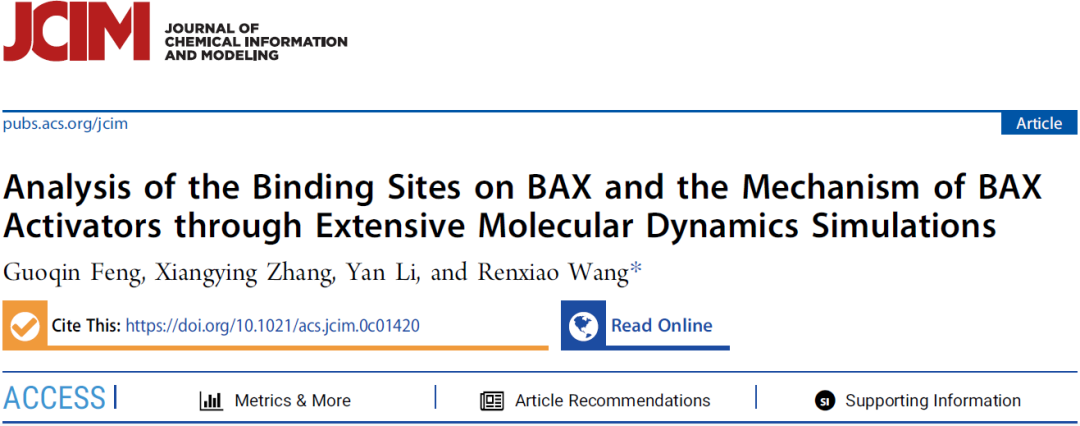 前沿(第八期):JCIM | 分子动力学模拟揭示BAX蛋白的激活机制 前沿(第八期):JCIM | 分子动力学模拟揭示BAX蛋白的激活机制