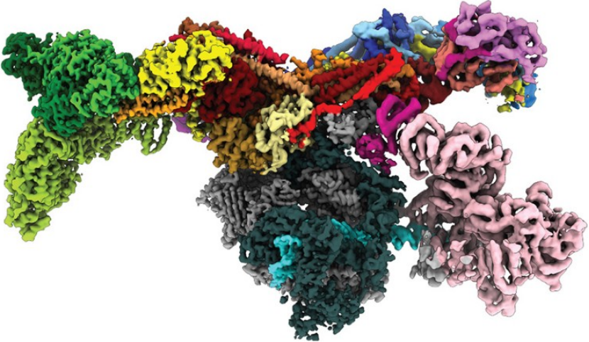 Nature | AlphaFold：生物史最全蛋白质图谱的绘制者